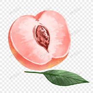 漫蛙2manwa2APPAPP应用